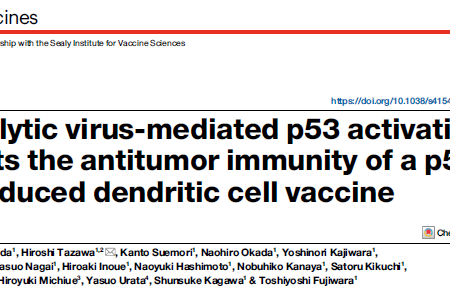 オンコリス Nature論文邦訳（2025.07.19）/ ウイルス療法によるp53活性化は、p53遺伝子導入樹状細胞ワクチンの抗腫瘍免疫を増強する